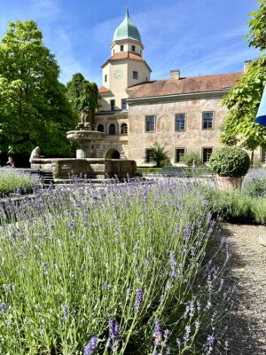 Zámecká expozice a kavárna v červenci a srpnu otevřena od pondělí do neděle.