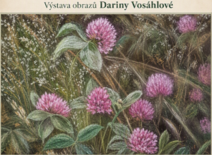 Výstava obrazů