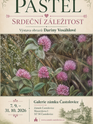 Výstava obrazů
